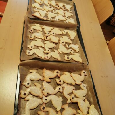 IMG_20251110_155229_resized_20251119_094422720