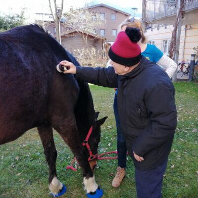 IMG_20260407_154455_resized_20260408_105214930